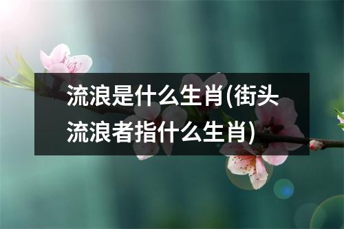 流浪是什么生肖(街头流浪者指什么生肖)
