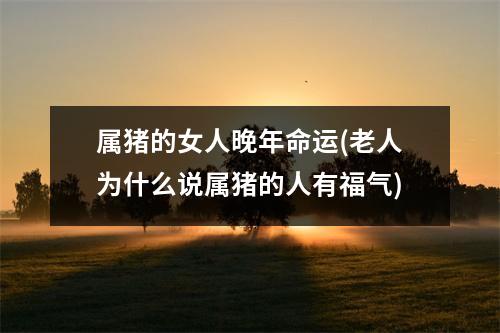 属猪的女人晚年命运(老人为什么说属猪的人有福气)