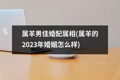 属羊男佳婚配属相(属羊的2023年婚姻怎么样)