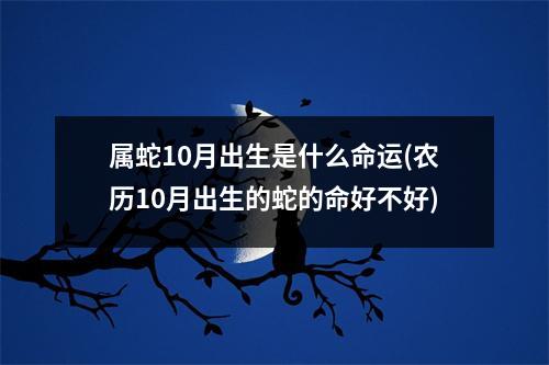 属蛇10月出生是什么命运(农历10月出生的蛇的命好不好)