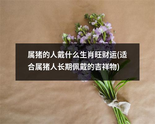 属猪的人戴什么生肖旺财运(适合属猪人长期佩戴的吉祥物)