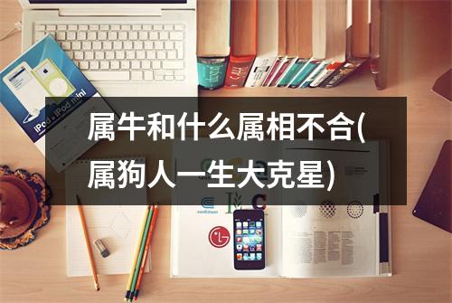 属牛和什么属相不合(属狗人一生大克星)