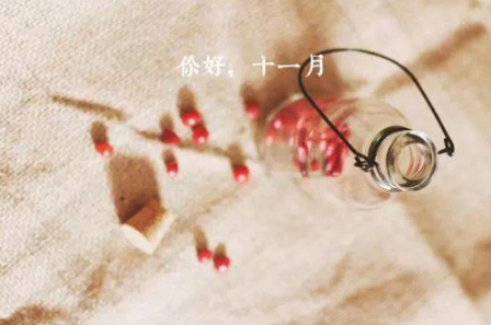 生肖鼠，你的十一月职场备战